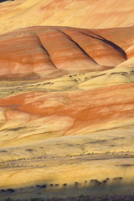 Detail Of The Painted Hills